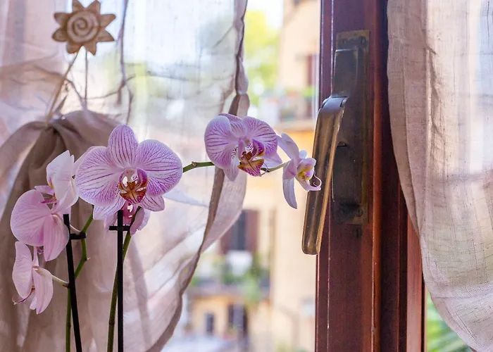 La Casa Di Elba